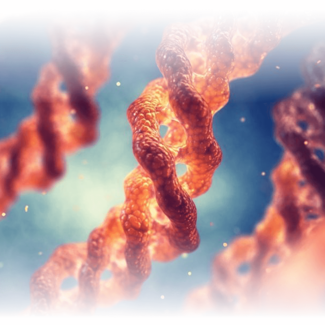 Skin-Booster_Szovetstimulator_borbe_olvado_fibroin_szalas_arcfeszesites_Palatinus_Kozmetika_Kecskemet-2-02