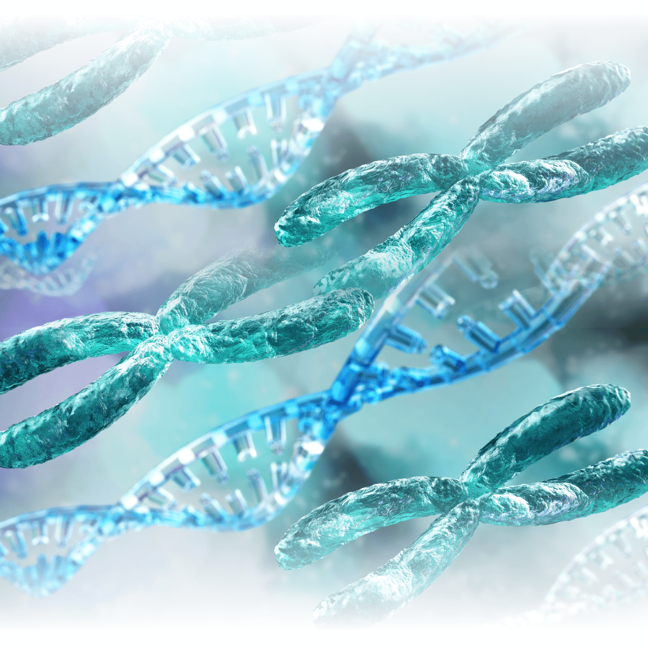 Skin-Booster_Szovetstimulator_orvos-kozmetikai_PDRN_lazac_sperma_terapia_Palatinus_Kozmetika_Kecskemet-2-02