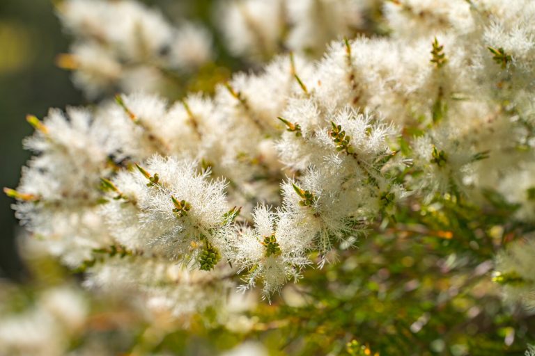 AdobeStock_445115894_optimized