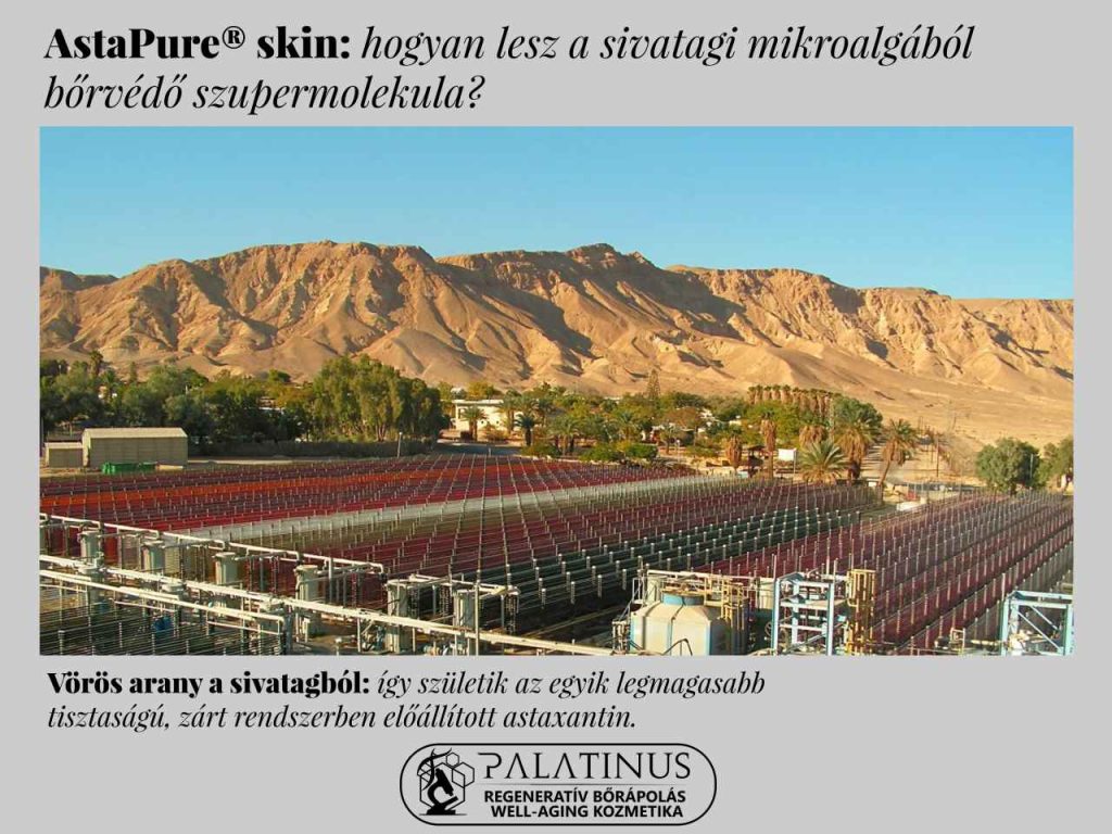 Astaxantin-AstaPure-Skin-Palatinus-Kozmetika-Webshop-regenerativ-borapolas