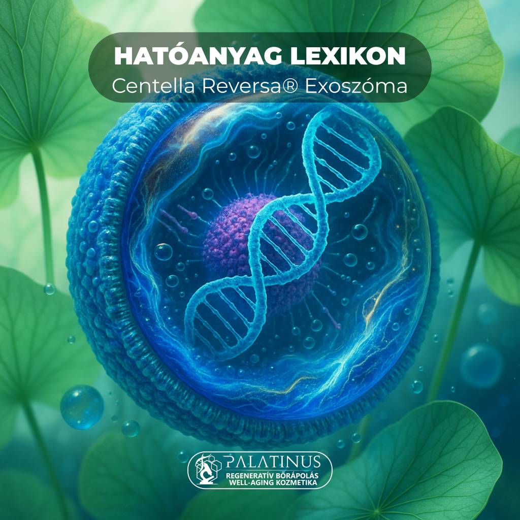Hatoanyag-lexikon-Centella-Reversa®-Exosome-Phyto-Peptidic-Fractions™-Palatinus-Kozmetika-regenerativ-borapolas-well-aging-tudatos-borapolas-webshop
