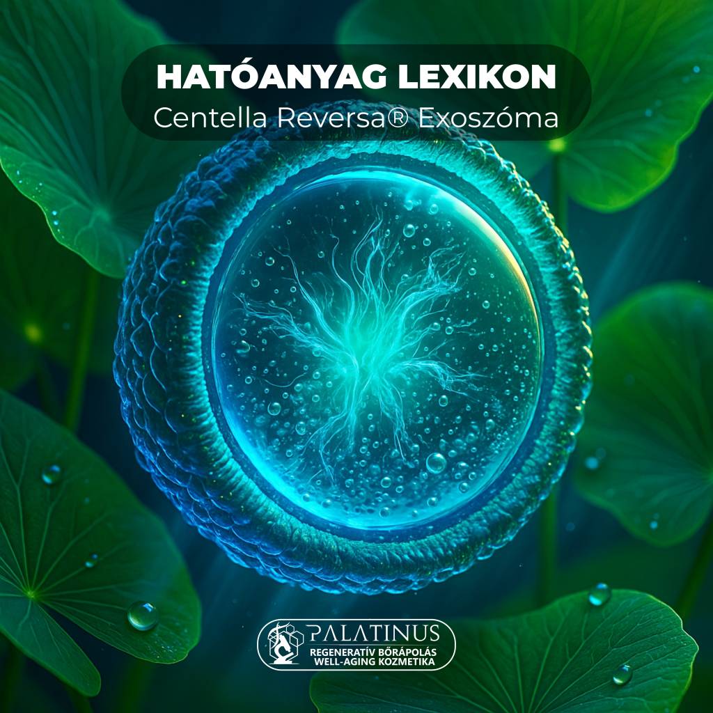 Hatoanyag-lexikon-Centella-Reversa®-Exosome-Phyto-Peptidic-Fractions™-Palatinus-Kozmetika-regenerativ-borapolas-well-aging-tudatos-borapolas-webshop