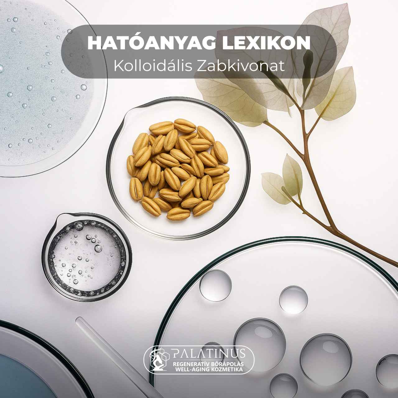 Hatoanyag-lexikon-Kolloidalis-Zabkivonat-Palatinus-Kozmetika-regenerativ-borapolas-well-aging-tudatos-borapolas-webshop