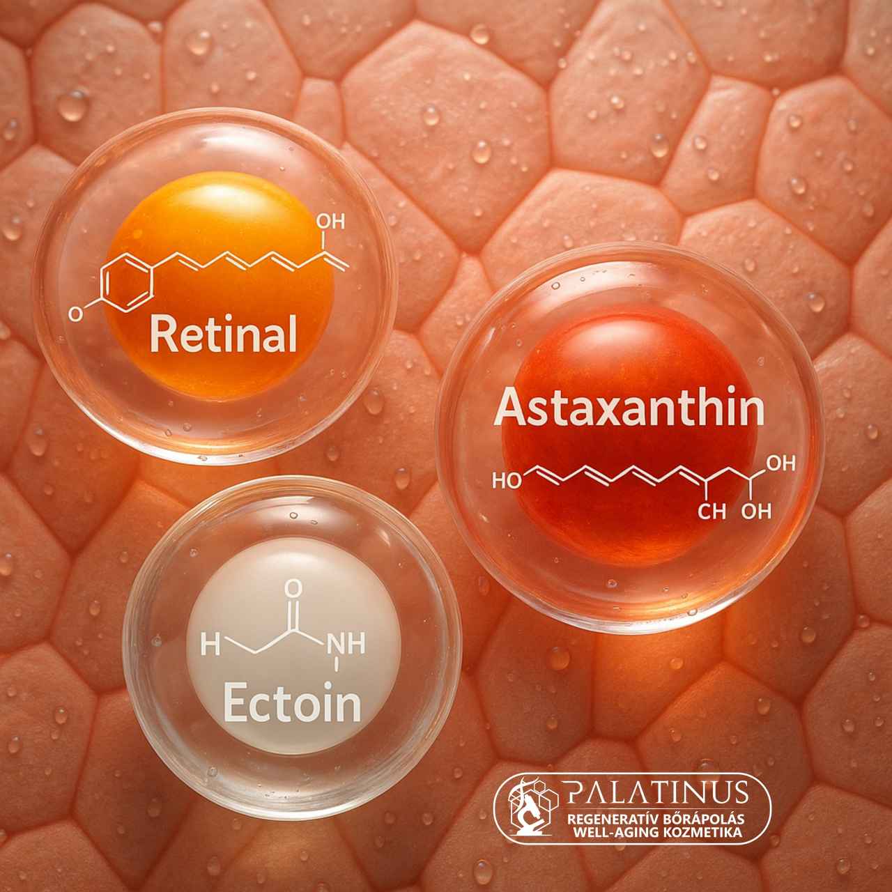 Retinal-ectoin-astaxantin-Palatinus-Kozmetika-regenerativ-borapolas-well-aging-tudatos-borapolas-webshop