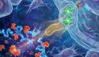 A-Peptidek-Tulelesi-Kemiaja-Enzimatikus-Gatak-es-a-Molekularis-Tuning-Tudomanya-Palatinus-Kozmetika-regenerativ-borapolas-well-aging-tudatos-borapolas-webshop